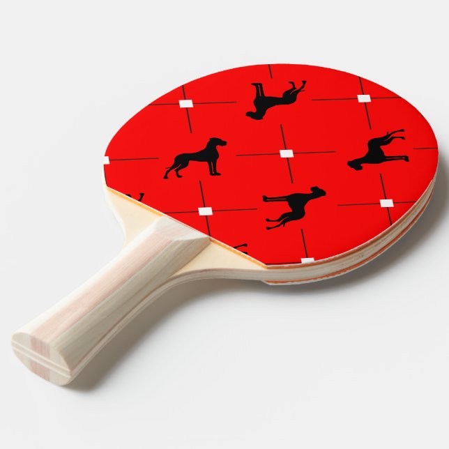 Grand danois Pingopongo Pingisracket (Frontvinkel)