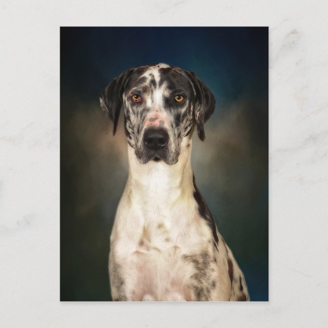 Grand danois vykort (Framsida)