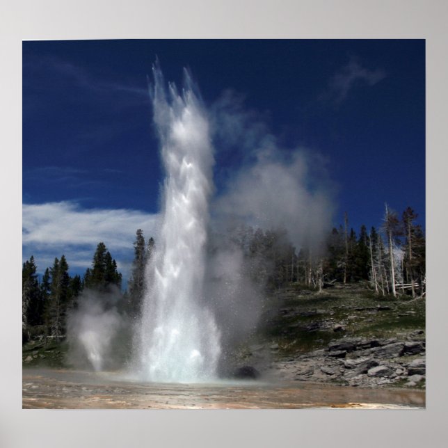 Grand geyser and vent geyser in Yellowstone Poster (Framsidan)