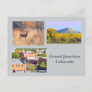 Grand Junction, Colorado Template Travel Postcard Vykort
