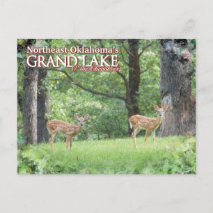 Grand Lake Oklahoma vykort hjort