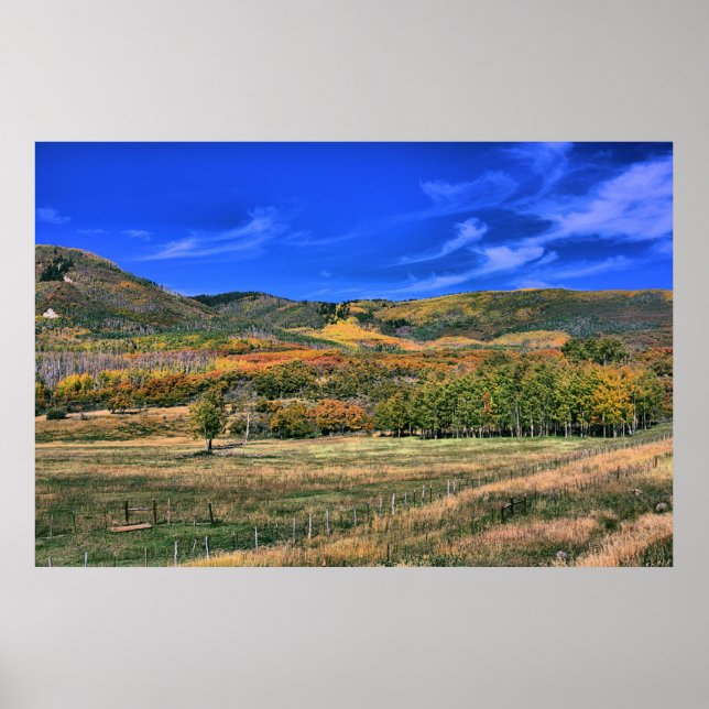 Grand Mesa, Colorado på hösten Poster (Framsidan)