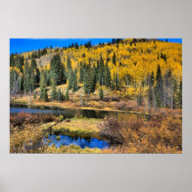 Grand Mesa in Autumn, Westerna Colorado