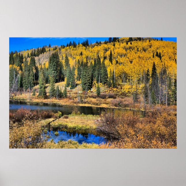 Grand Mesa in Autumn, Westerna Colorado Poster (Framsidan)