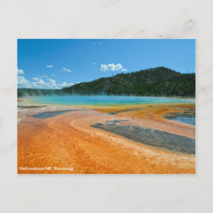 Grand Prismatic Vår i Yellowstone NP Vykort