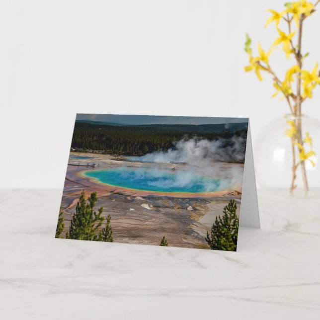 Grand Prismatic Vår Yellowstone nationalpark Kort (Gul blomma)
