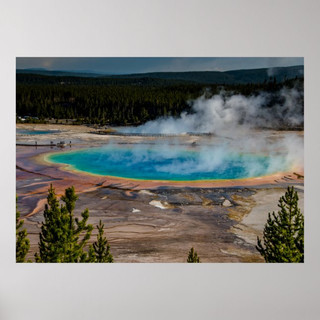 Grand Prismatic Vår Yellowstone nationalpark Poster (Framsidan)