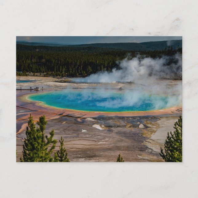 Grand Prismatic Vår Yellowstone nationalpark Vykort (Framsida)