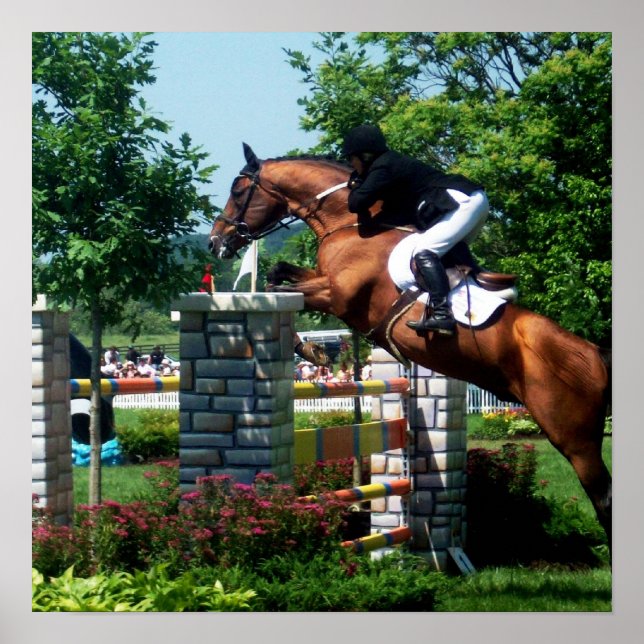 Grand Prix Horse Poster (Framsidan)