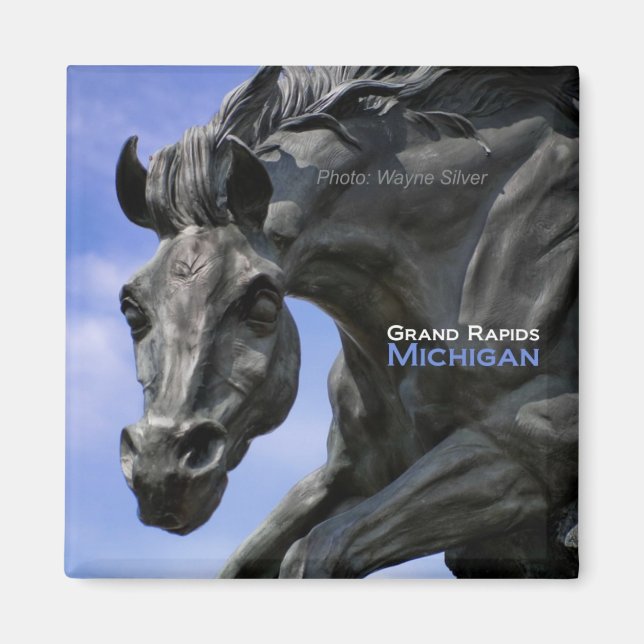 Grand Rapids Michigan Magnet Travel Souvenir (Framsidan)