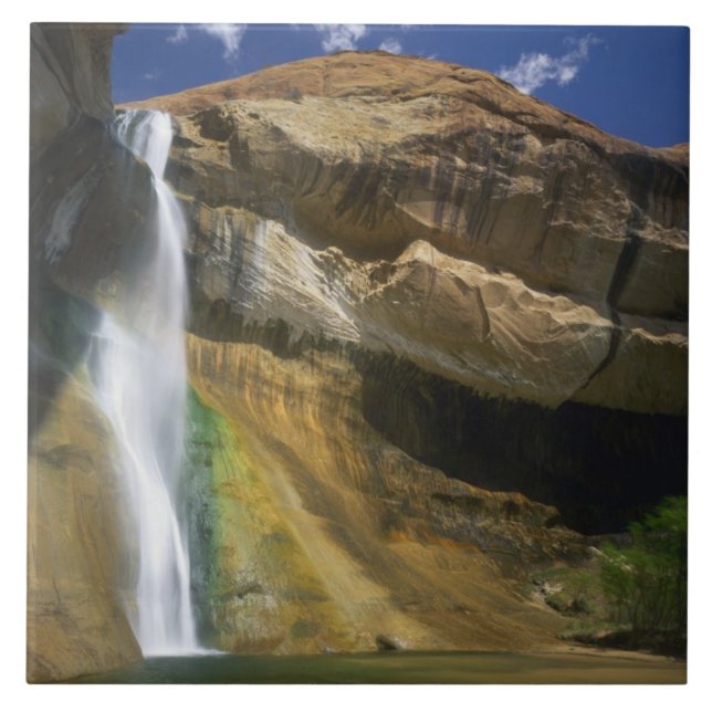GRAND STAIRCASE-ESCALANTE NATIONAL MONUMENT, KAKELPLATTA (Framsidan)