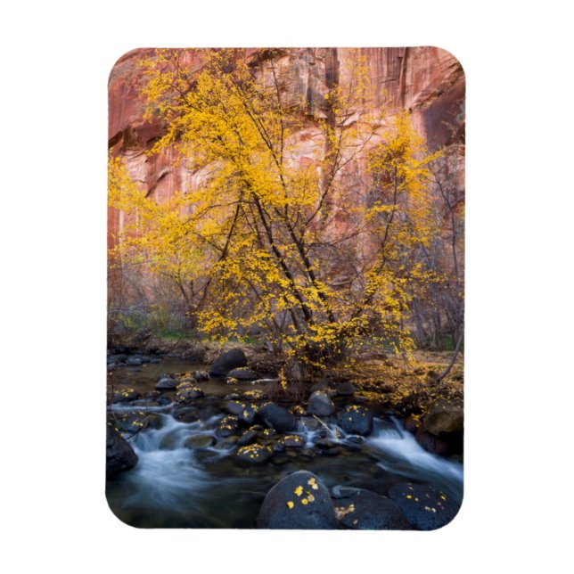 Grand Staircase-Escalante National Monument Magnet (Vertikal)