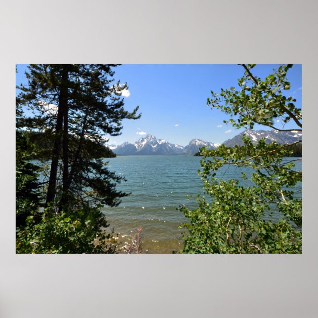 Grand Teton 0594 8-11 Poster (Framsidan)
