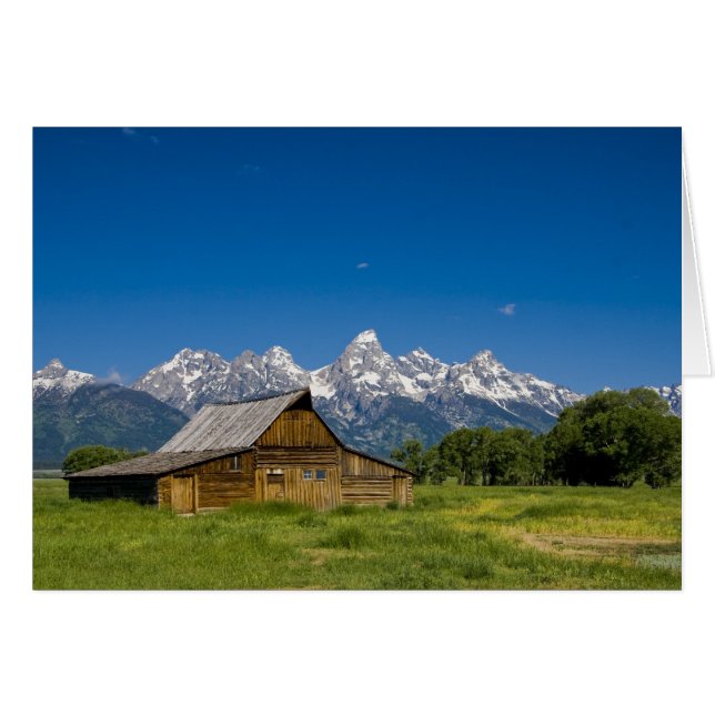 Grand Teton Barn Hälsningskort (Framsidan Horizontal)