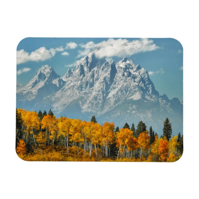 Grand Teton-bergen i Fall Magnet (Horisontell)