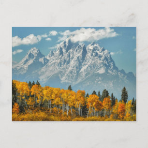 Grand Teton-bergen i Fall Vykort
