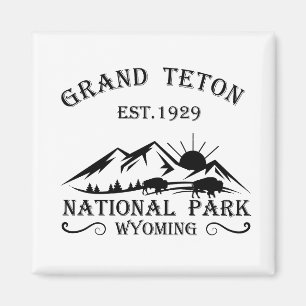 Grand Teton bergen Nationalpark Wyoming Magnet