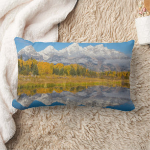 Grand Teton-bergen Wyoming Lumbarkudde