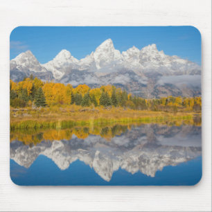 Grand Teton-bergen Wyoming Musmatta