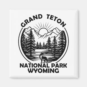 Grand Teton bergens nationalpark Wyoming Magnet
