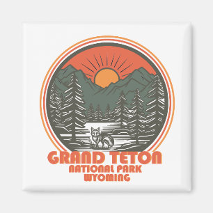 Grand Teton bergens nationalpark Wyoming Magnet