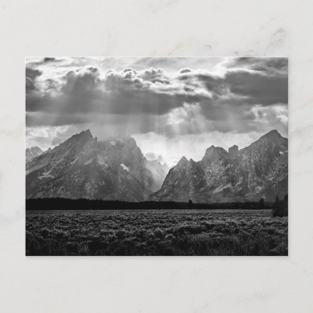Grand Teton Mountain Range in Black and White Vykort (Framsida)