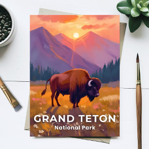 Grand Teton National Park   Bison Wyoming Resa Vykort
