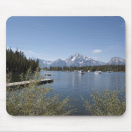 Grand Teton National Park fotografering Musmatta