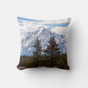 Grand Teton National Park Teton Range Kudde