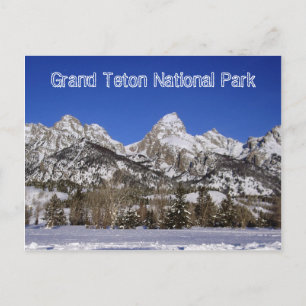 Grand Teton National Park-vykort Vykort