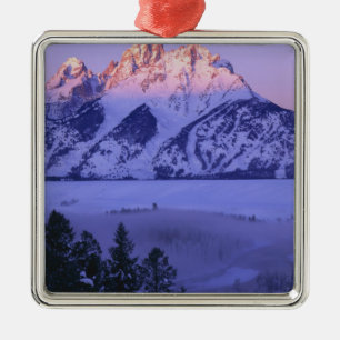 GRAND TETON NATIONAL PARK, WYOMING. USA. Dimma & Julgransprydnad Metall