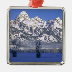 GRAND TETON NATIONAL PARK, WYOMING. USA. Dimma & Julgransprydnad Metall