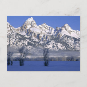 GRAND TETON NATIONAL PARK, WYOMING. USA. Dimma & Vykort