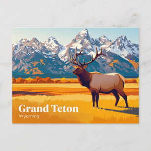 Grand Teton National Park Wyoming Vykort