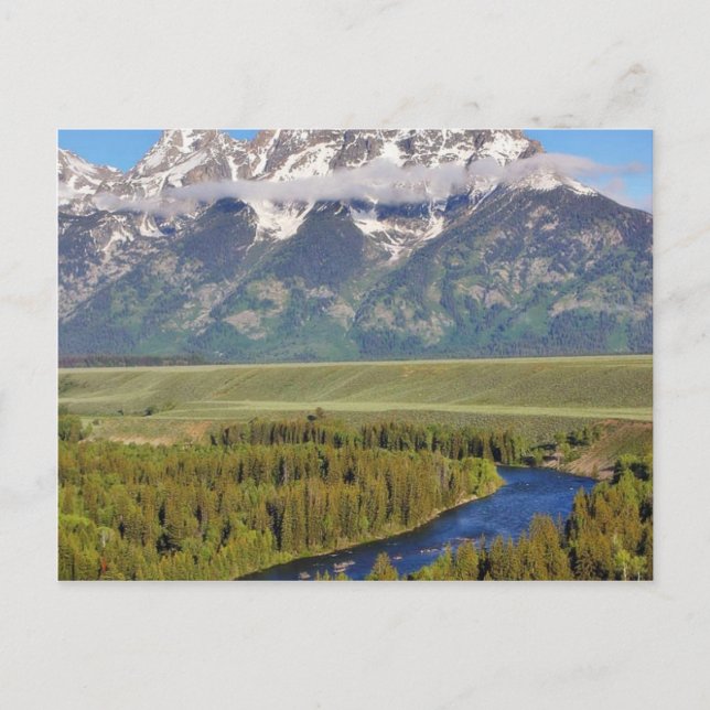 Grand Teton nationalpark 3 Vykort (Framsida)