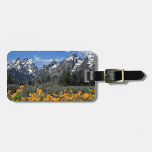 Grand Teton nationalpark Bagagebricka