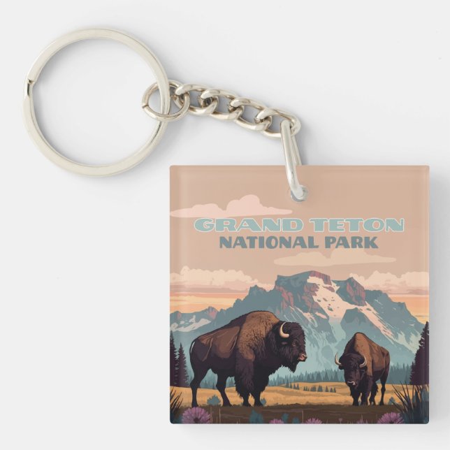 Grand Teton nationalpark Jackson Wyoming Mountain (Framsidan)
