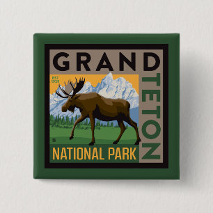 Grand Teton nationalpark Moose Knapp