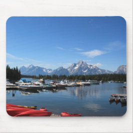 Grand Teton nationalpark Musmatta