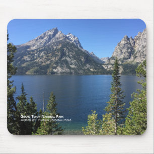 Grand Teton nationalpark Musmatta