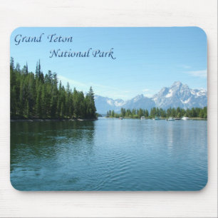 Grand Teton nationalpark Musmatta