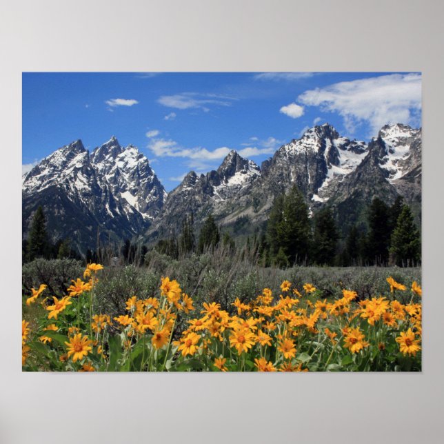 Grand Teton nationalpark Poster (Framsidan)
