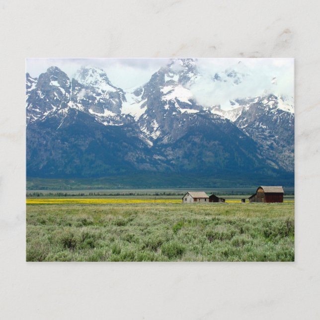 Grand Teton nationalpark Vykort (Framsida)
