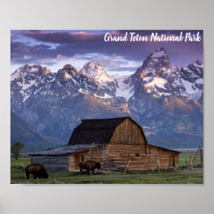 Grand Teton nationalpark Wyoming Mountains Barn Poster