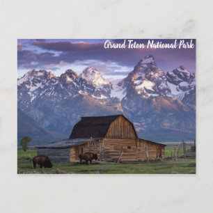 Grand Teton nationalpark Wyoming Mountains Barn Vykort