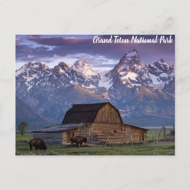 Grand Teton nationalpark Wyoming Mountains Barn Vykort (Framsida)