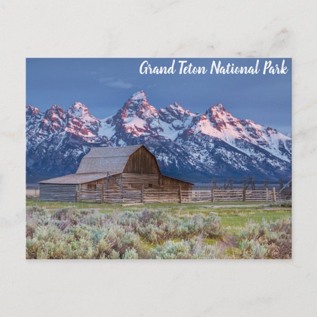 Grand Teton nationalpark Wyoming Mountains Barn Vykort (Framsida)