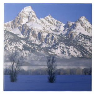GRAND TETON NATIONALPARK, WYOMING. USA. Dimma & Kakelplatta