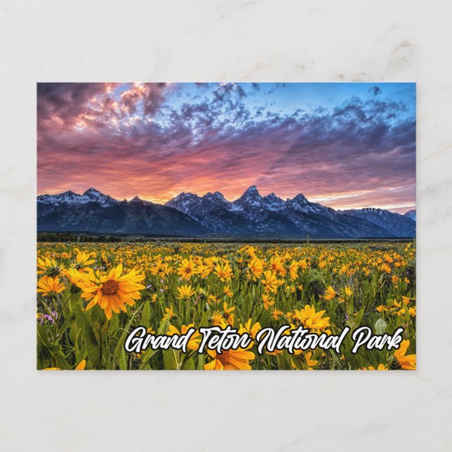 Grand Teton nationalpark, Wyoming Vykort (Framsida)