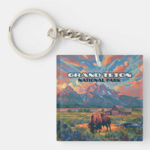 Grand Teton nationalparksbergen Bison Wyoming
